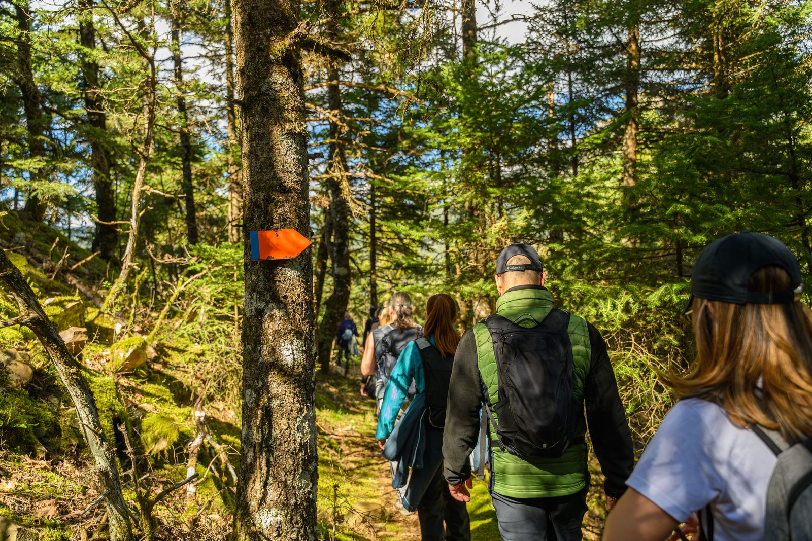 Randonneurs marchant en pleine nature