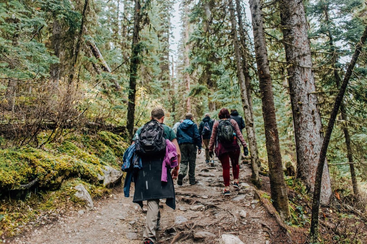 Les Bienfaits de la Marche en Pleine Nature