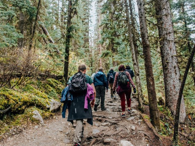 Les Bienfaits de la Marche en Pleine Nature