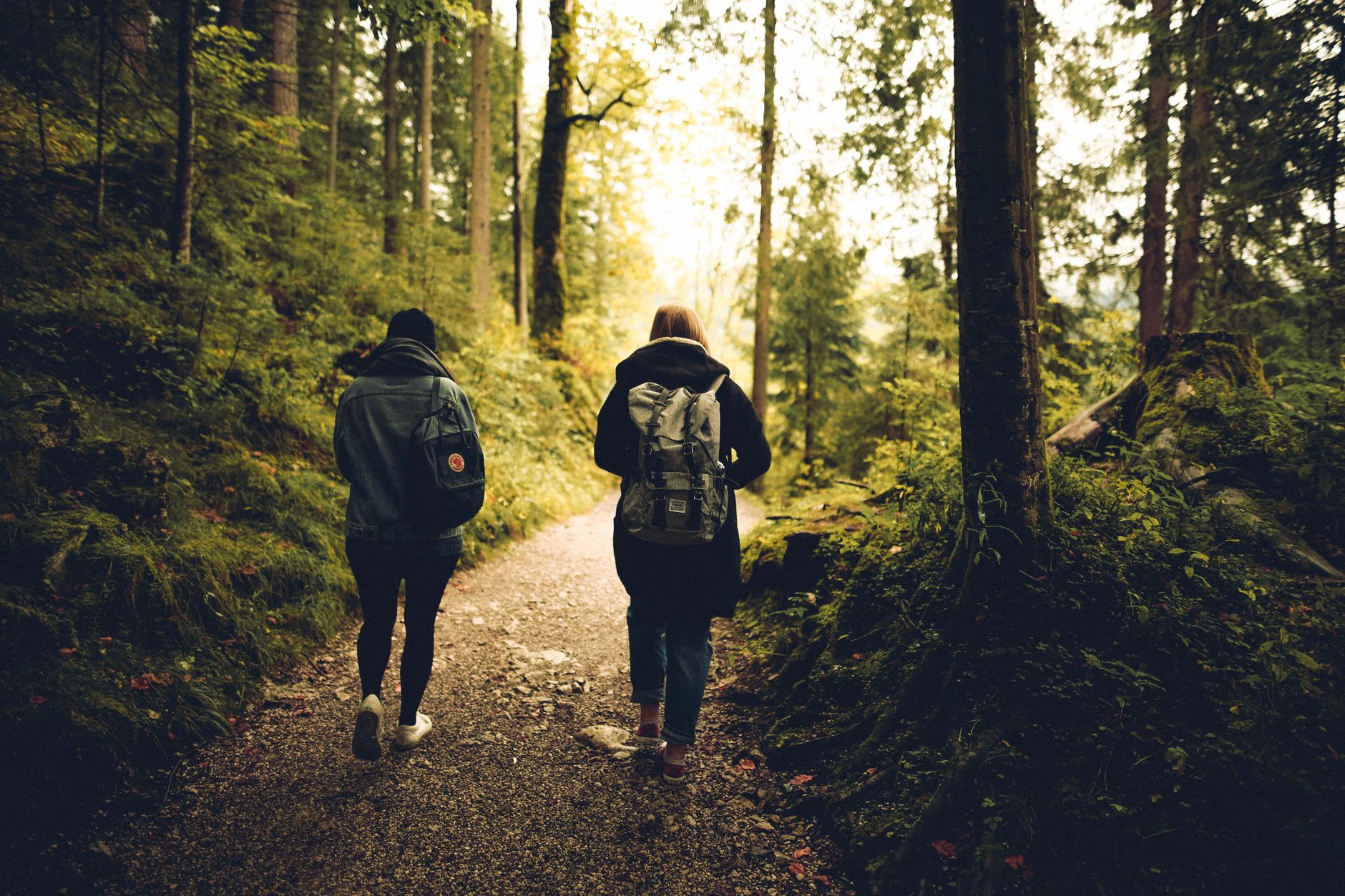 Deux amis marchant sur un sentier forestier entouré de verdure dense.