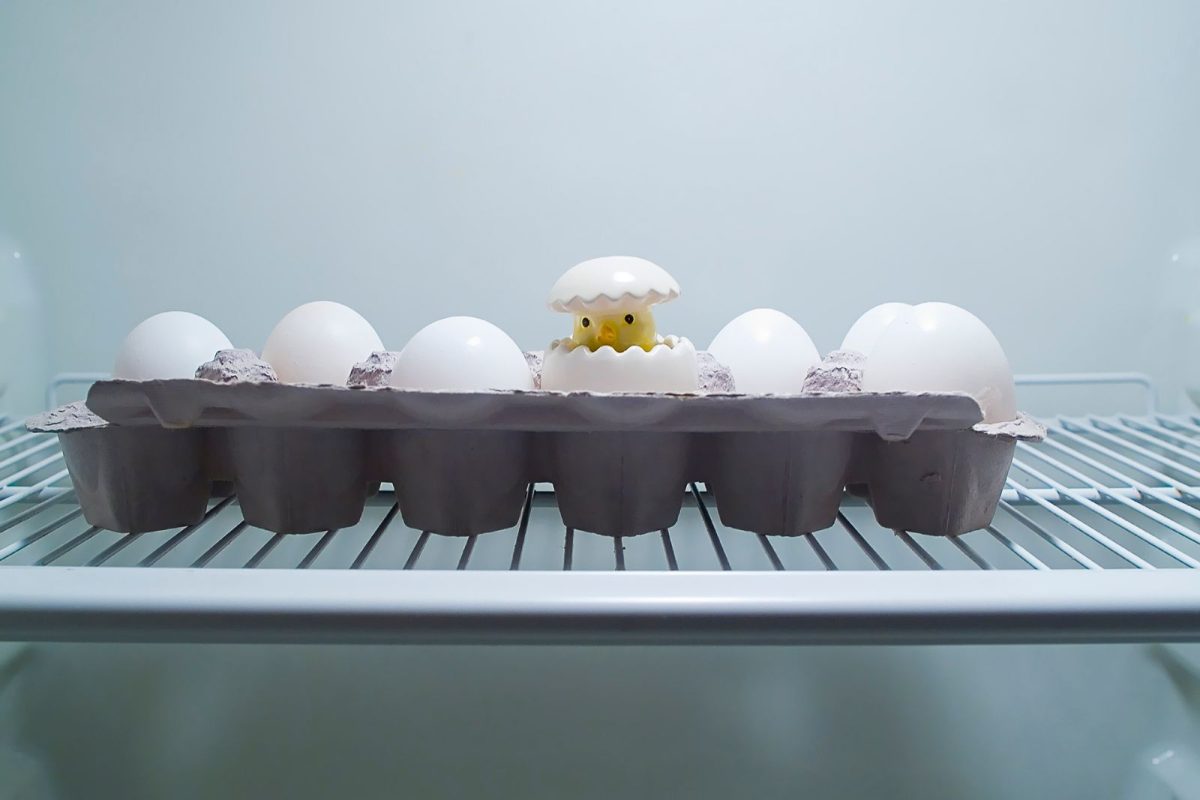 Dès le stockage au réfrigérateur, optimisez la conservation des œufs