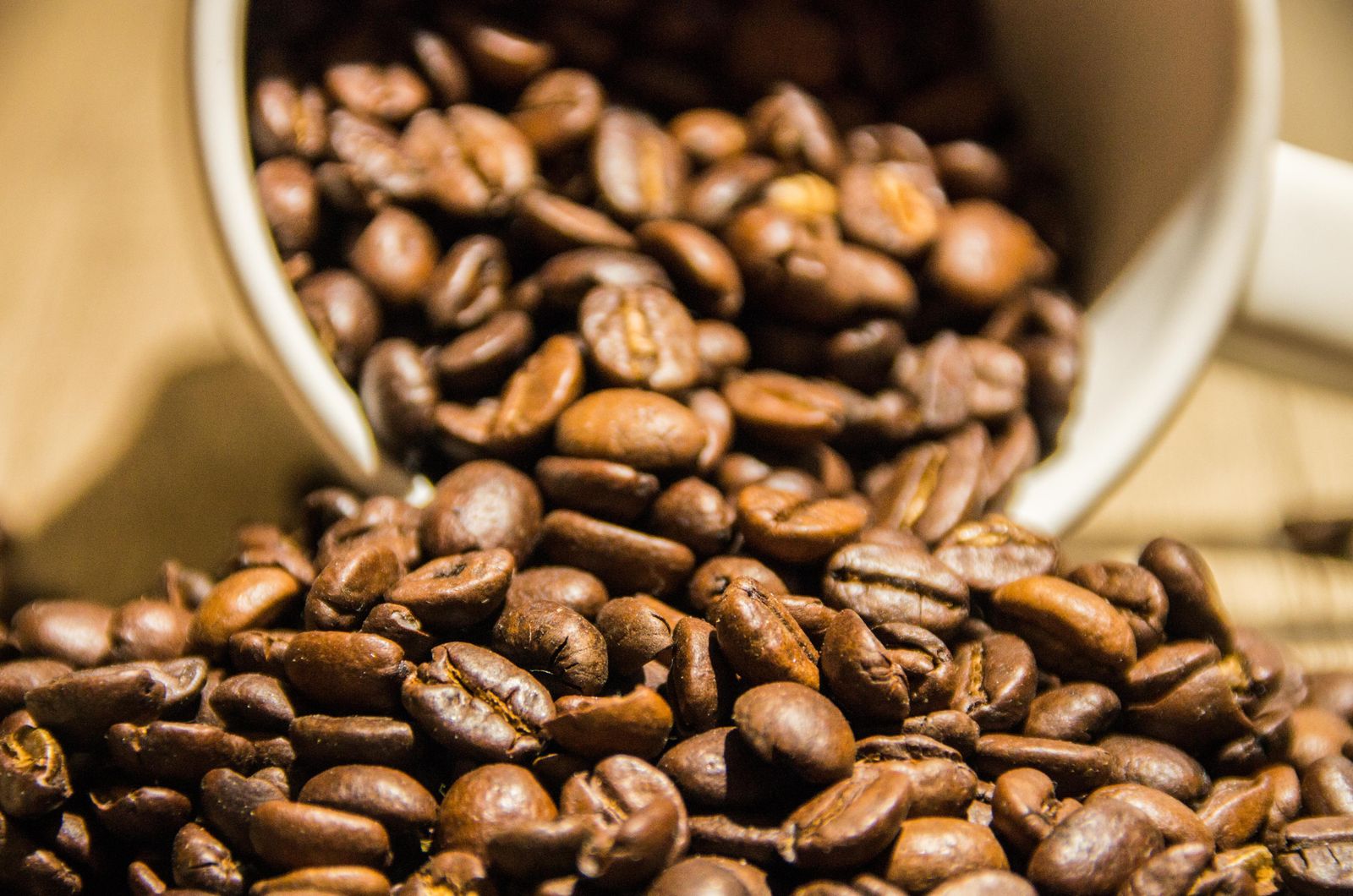Grains de café frais pour le café du matin