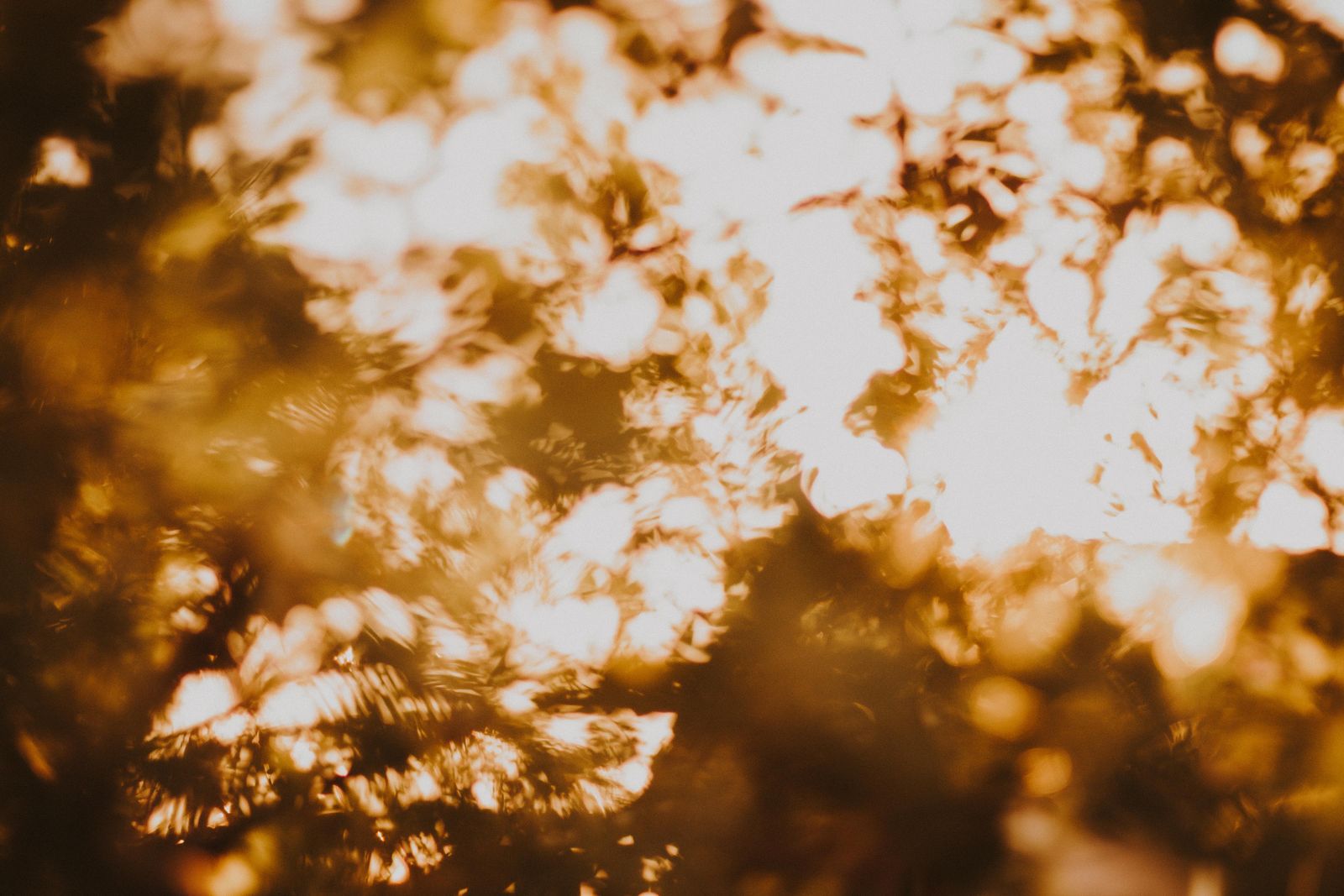 Lumière du soleil, source naturelle de vitamine D