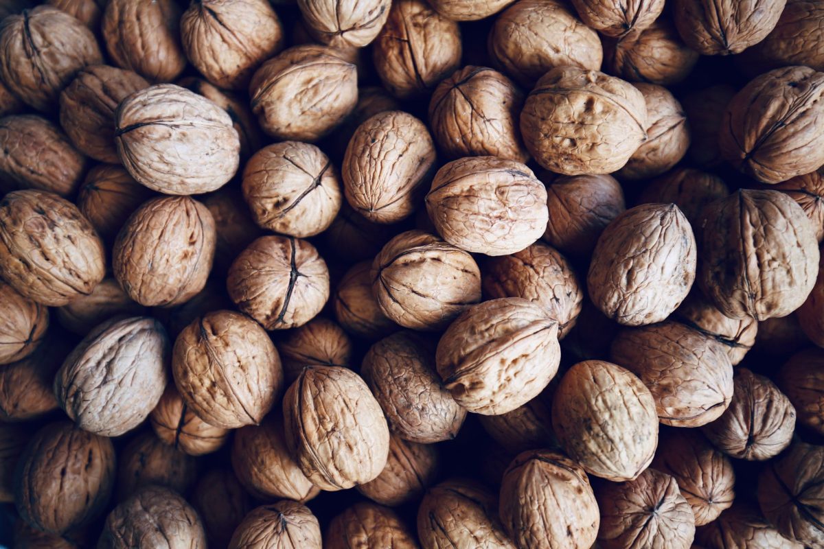 Votre assiette, gardienne de votre mémoire : découvrez comment l&rsquo;alimentation préserve votre cerveau !