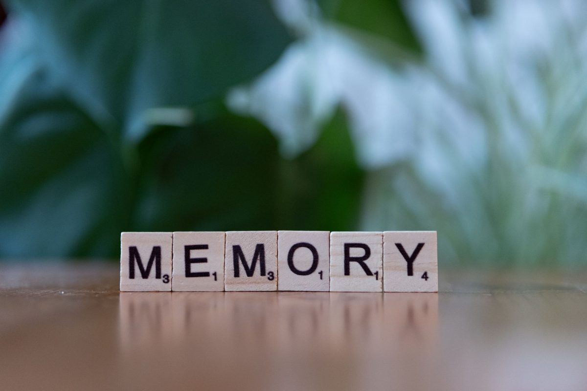 Réveillez votre mémoire : 15 minutes par jour pour booster vos capacités
