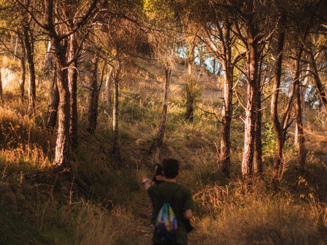 Comment la marche en pleine nature peut-elle améliorer votre santé ?