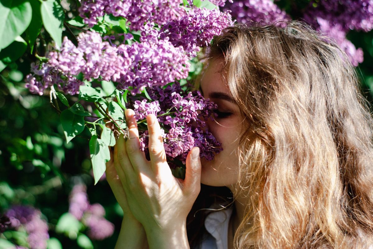 Se préparer aux allergies saisonnières