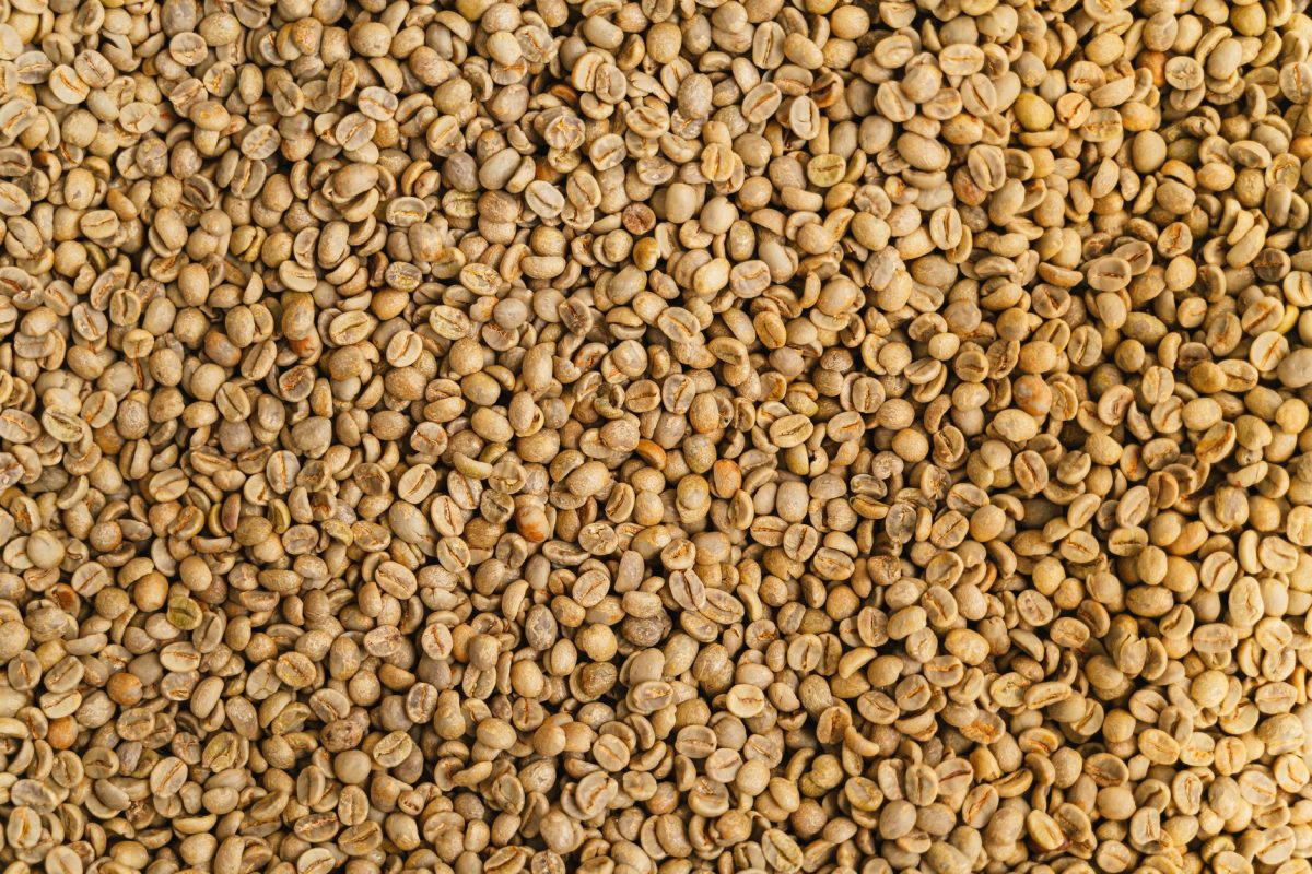 Votre café du matin pourrait transformer votre santé intestinale