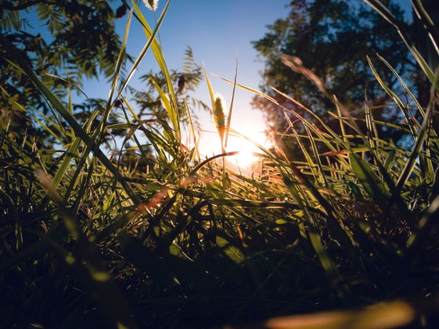 La vitamine D, alliée inattendue contre la mélancolie saisonnière