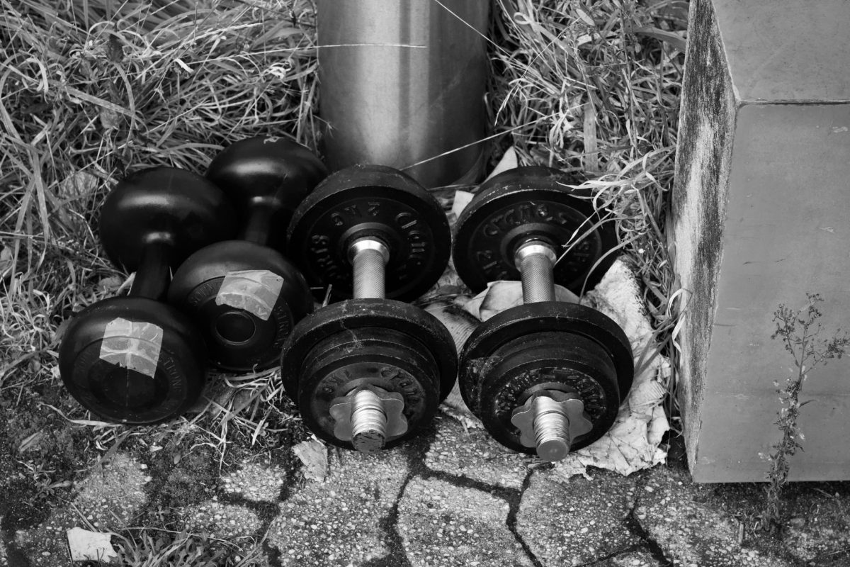 La musculation : un atout vital pour le bien-être des seniors