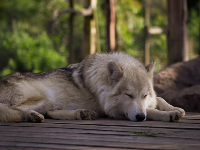 Comment s’ajuster au changement d’heure pour mieux dormir en 2026