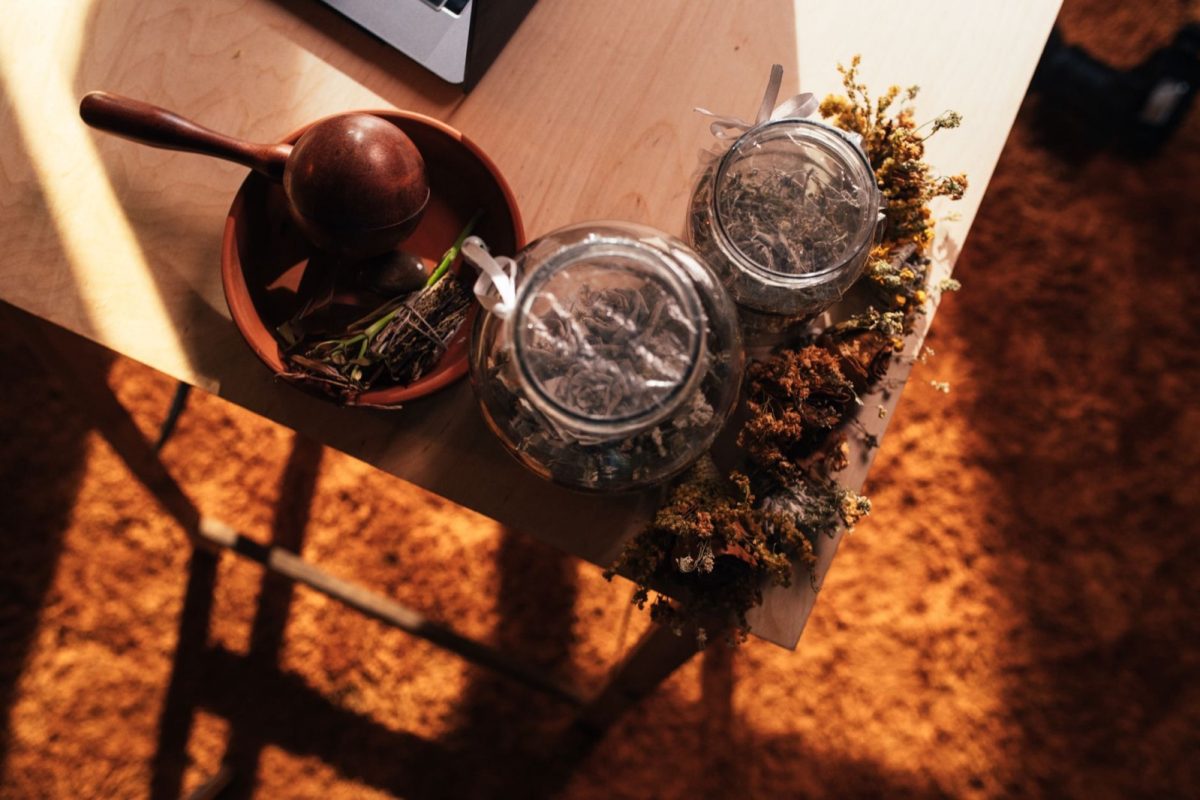Formation sur les plantes médicinales : quelles options sérieuses ?