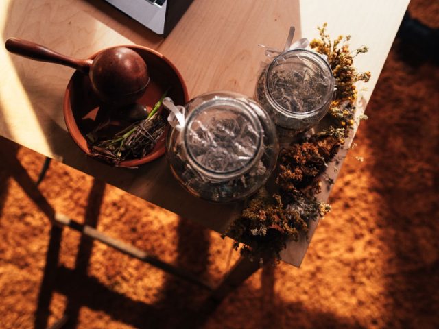 Formation sur les plantes médicinales : quelles options sérieuses ?