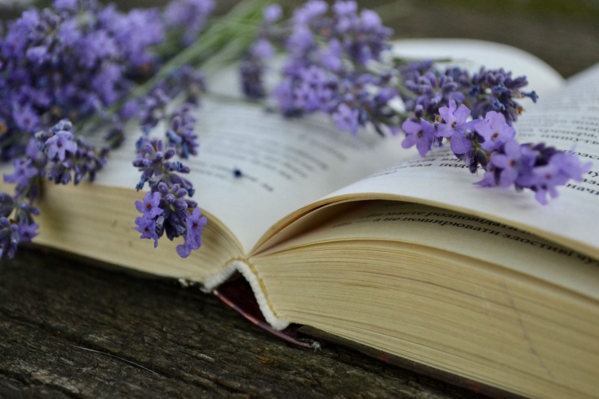Livre des plantes médicinales : lequel choisir pour un usage quotidien