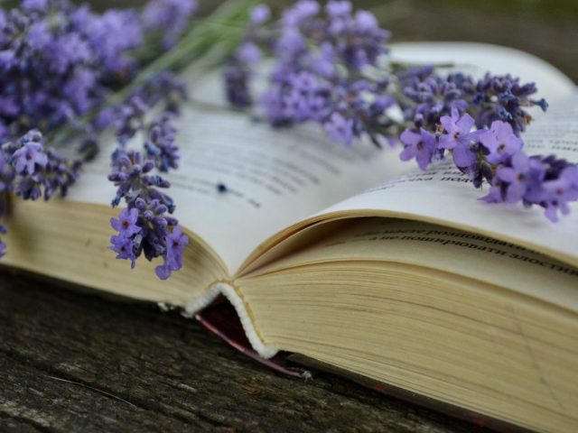 Livre des plantes médicinales : lequel choisir pour un usage quotidien