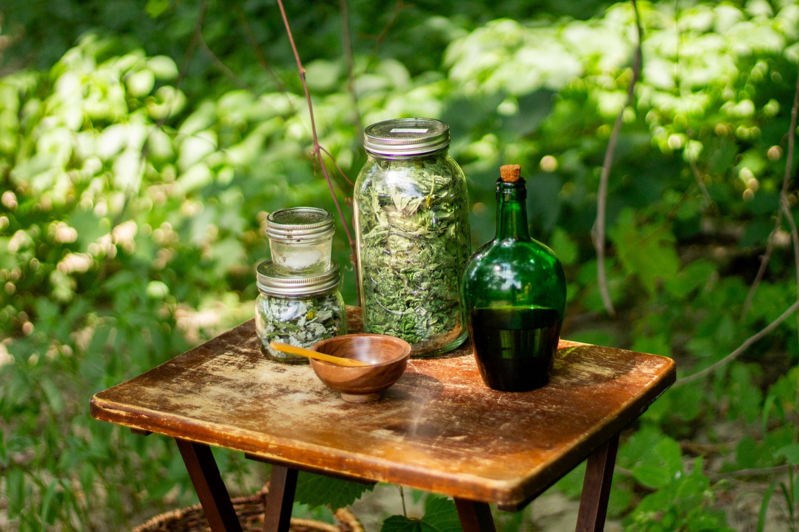 Bocaux en verre remplis de plantes séchées rangés dans une cuisine