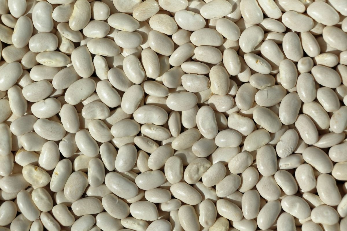 Des le prochain repas, pourquoi les haricots secs peuvent allonger votre vie
