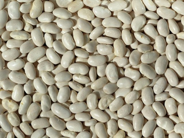 Des le prochain repas, pourquoi les haricots secs peuvent allonger votre vie